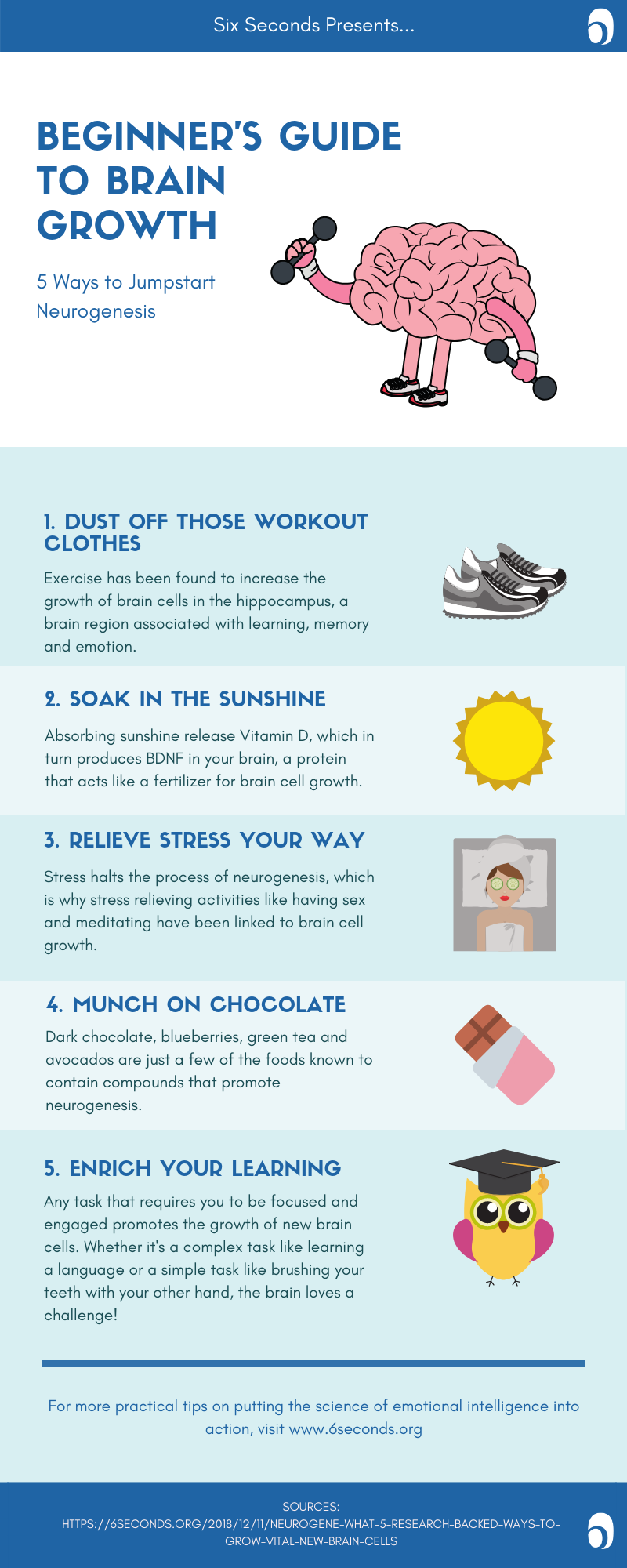 Staying Sharp: 5 Ways to Boost Your Brain Power • Six Seconds